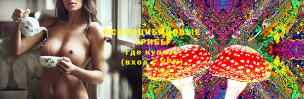 круглые Алексеевка