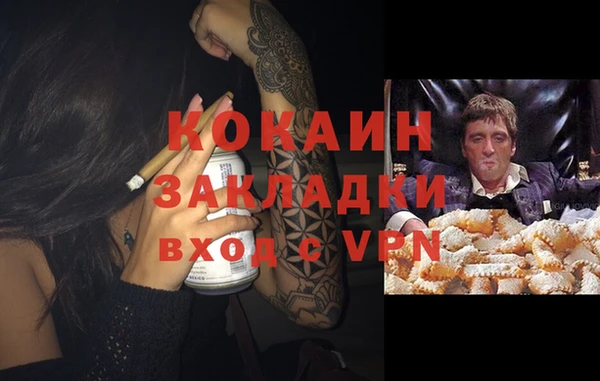 дживик Абинск