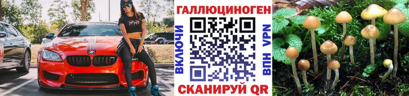 Галлюциногенные грибы Psilocybine cubensis  где купить   Киров 