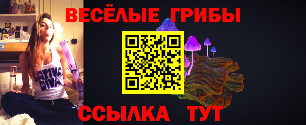 Псилоцибиновые грибы Psilocybine cubensis  Псилоцибиновые грибы Cubensis  Вход с VPN  Киров 