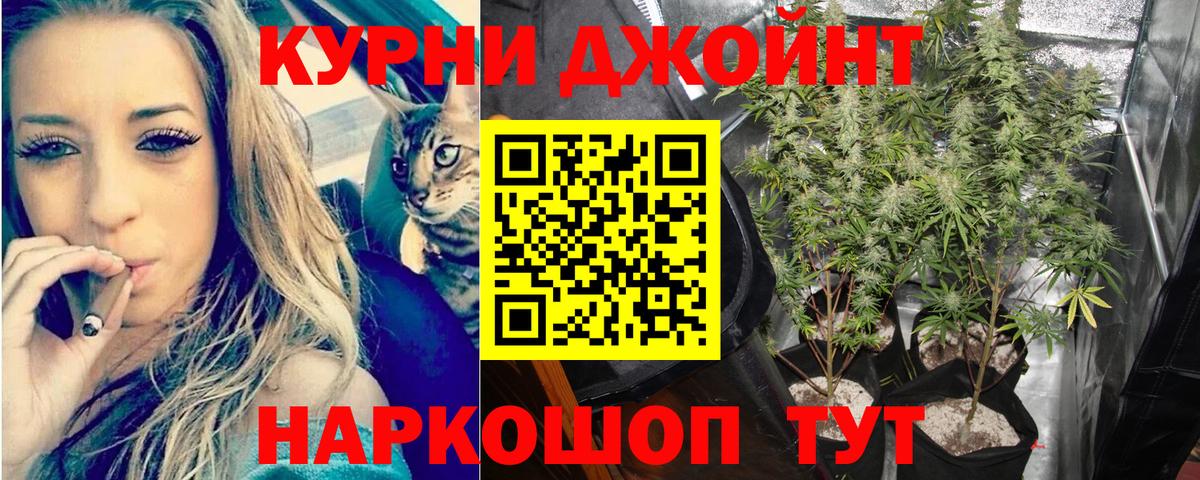 Каннабис Amnesia  Вход с VPN  Шишки марихуана ГИДРОПОН  Канабис SATIVA & INDICA  Киров 